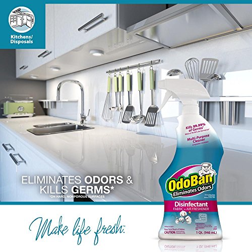 OdoBan Ready to Use 32 Oz Spray Bottle And 1 Gal Concentrate Cotton 