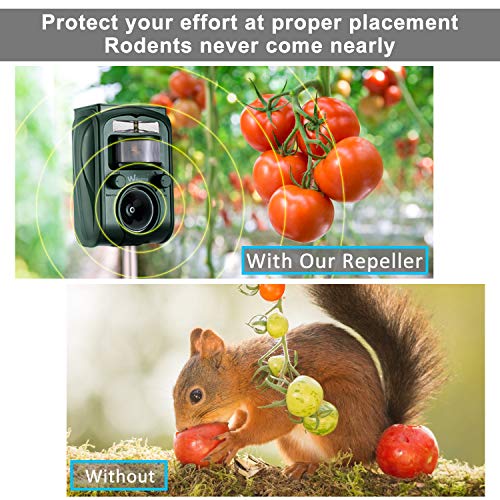Wikomo Ultrasonic Animal Repeller, Solar Powered Waterproof Outdoor