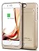 iPhone 6S Plus Battery Case, iPhone 6 Plus Battery Case, HoneyAKE 4200mAh Portable Travel Charger External Protective Charging Case Backup Pack Cover Juice Bank for iPhone 6 Plus/6S Plus 5.5 - Gold