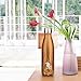 vatna Insulated Water Bottle, Double Wall Vacuum Stainless Steel Water Bottle, Cola Shape, BPA Free, Keeps Cold & Hot, Perfect for Picnics Outdoor Sports Camping Hiking Cycling 17oz (500ml)
