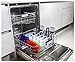 Bento Box, PYRUS Bento Lunch Box 3 Divided Compartments Reusable Lunchbox with Multi Colored Lids Perfect for School and Office(4PACK)