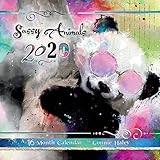 Color Splash - Connie Haley 2020 Wall Calendar by