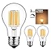 gezee 10W Edison Style Vintage LED Filament Light Bulb, 100W Incandescent Replacement,Warm White 2700K,1000LM, E26 Medium Base Lamp, A19(A60) Antique Shape, Clear Glass Cover,Dimmable（3-Pack）