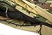 AMAZON US MILITARY ISSUE - ECWS WOODLAND MODULAR SLEEPING BAG SYSTEM 4 PIECES 71