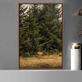 signwin Framed Canvas Wall Art Deer Animals Deer...