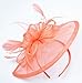 Womens Formal Party Fascinator Hat with Headband for Cocktail Watermelon Red