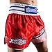 Hayabusa Lion Warrior Muay Thai Shorts