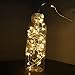 YINUO LIGHT Copper Wire Lights Decorative Led Lights USB Operated 100 LED 33ft Warm White Rope Lights Waterproof Fairy String Lights for Home