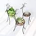 SCAU Iron Elk Reindeer Air Plant Pot Stand Holder Container Tillandsia Plant Display with Nestthumb 1