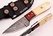 SharpWorld Beautiful Damascus Knife Made Of Remarkable Damascus Steel and Exotic Handle -Best Hunting Knife With Leather Sheath TJ101 (Camel Bone and Wood)