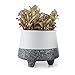 T4U 3.75 Inch Ceramic Korae Style Snow Serial No.4 Succulent Plant Pot/Cactus Plant Pot Flower Pot/Container/Planter