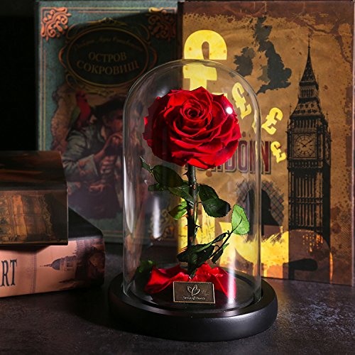 Galaxy Rose Flower Beauty and The Beast Rose Red Rose Infinite Rose