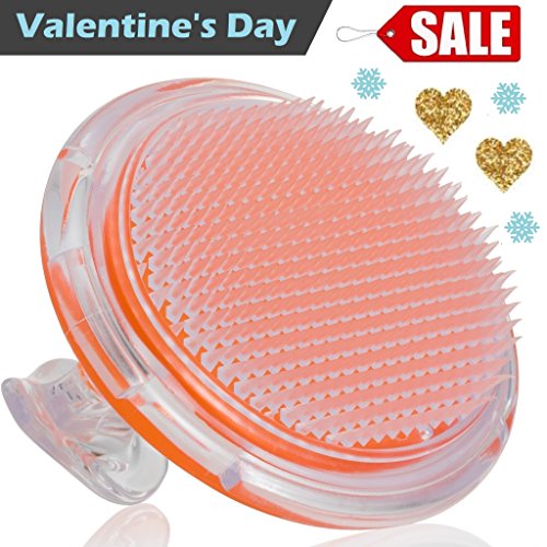 Beauty & Personal Care, Skin Care, Face, Exfoliators, Polishes & Scrubs, Scrubs