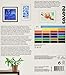 Reeves 24-Pack Water Color Paint Set, 10ml (8494252) Assorted color.