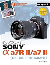 Berthe Morisot: Drawings Colour Plates