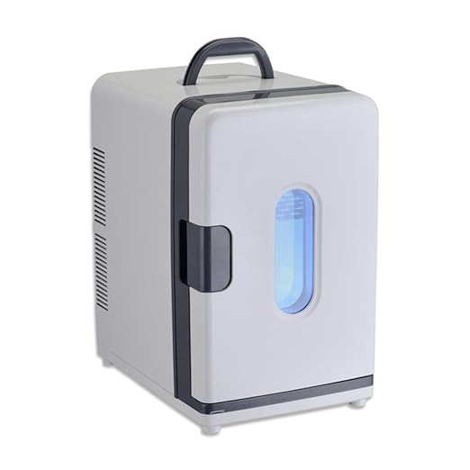 Compra SL&BX Mini Nevera portátil Estudiante alojamiento refriger ...