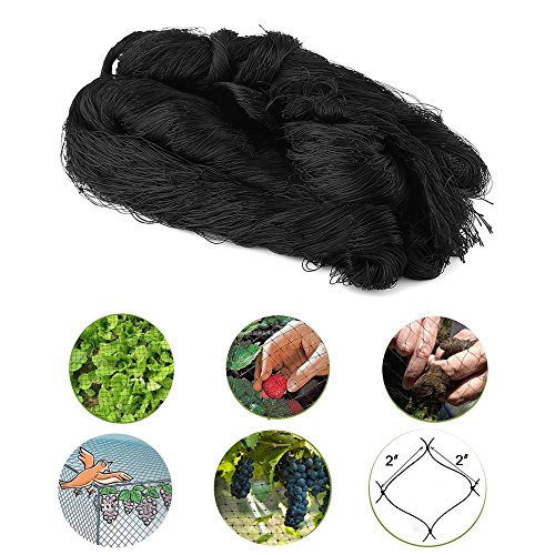 image for Boshen 9.8'x65.6' Anti Bird Net Poultry Aviary Game Net Garden Hunting