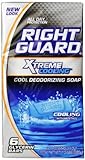 Right Guard Total Defense 5 Deodorizing Soap Cooling Bar, 6 Count, 4 Ounce Bars (Pack of 2)