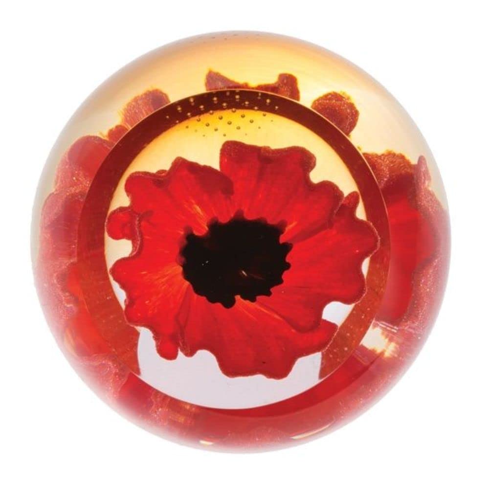 Caithness Glass Charms Red Poppy Paperweight | Single | 65mm x 65mm | Handmade in Scotland | A Vivid red Poppy Takes Centre Stage Inside This Faceted Glass Dome| Ornamental | Boxed | Gift