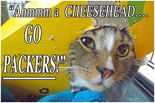 1 Large sized refrigerator fridge magnet, CHEESE HEAD, 4x6 inches (10.16 x 15.24 cm), meme decorative magnetic sign plaque, pet tabby cat wears a cheesehead hat