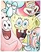 Entertainment Retail Enterprises Spongebob Squarepants Full Cast Woven Blanket 50x60