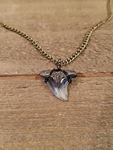 Real Black Shark Tooth Fossil Bronze Chain Necklace Ocean Sea Surf Collection Outdoor Rustic Fishing Water (N198)