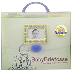 Baby Briefcase Baby Paperwork Organizer, Mint/Periwinkle