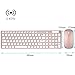 Keyboard & Mouse Combos, URCO Ergonomic Low-noise Aesthetically Pleasing Portable 2.4GHz Wireless Keyboard and Mouse Set for Gaming and Working (Rose Gold)