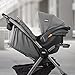 Chicco Mini Bravo Plus Lightweight Stroller, Eucalyptus