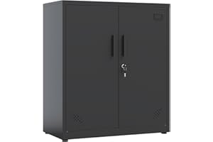LVSTEEL Metal Storage Cabinet with 2 Doors and 2 Adjustable Shelves, Steel Lockable Garage Storage Cabinet, Metal File Cabinet for Home Office School Gym, Black