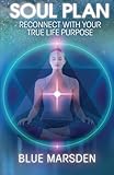 Soul Plan: Reconnect with Your True Life Purpose