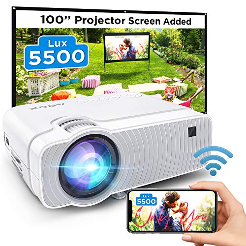 Producto: Projector for Outdoor Movies
