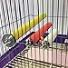 5 Pack Bird Perch Stand Toy, Wood Parrot Perch Stand Platform Paw Grinding Stick, Cockatiel Cage Accessories for Budgies Parakeet Cockatiel Conurethumb 3