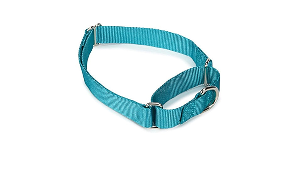 bulk dog collars and leashes