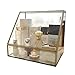 Clear Glass Makeup Organizer Spacious Display Case Mirrored Cosmetic Storage for Makeup/Jewelry/Brushes/Perfumes/Skincare Large Holder for Counter top with Front Open Lid Non-Acrylic