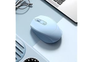 Wireless Mouse, 2.4GHz with USB Mini Receiver & BT 5.2, Silent Computer Mouse, 1600 DPI Optical Tracking, Compatible with Win