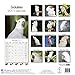 Cockatoos Calendar - 2017 Wall calendars - Parrot Calendars - Bird Calendars - Calendars 2016 - 2017 Wall Calendars - Monthly Wall Calendar by Avonside