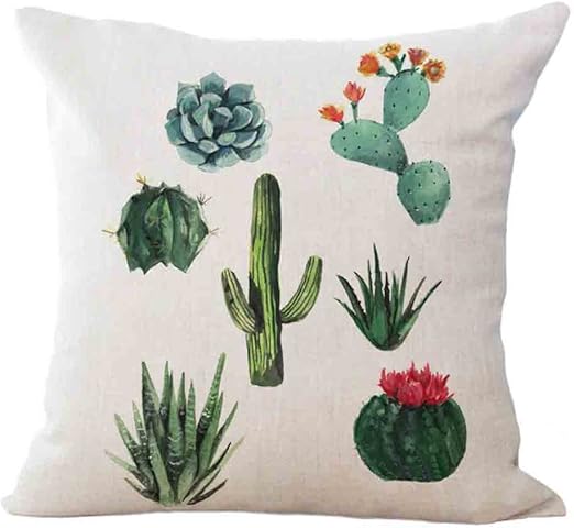 Amazon Com Qinqingo Tropical Succulent Plants Cactus Decorative