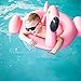 Meland Baby Float - Inflatable Flamingo Float for Kids, Ride-on Baby Pool Float with 2 Swimming Arm Floats for Toddlers Infant Age 6-48 Months, Pink (Flamingo)