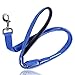 ILLUMISEEN LED Light Up Dog Leash | Ultra High Visibility Up to 350 Yards | 3 Lighting Modes | USB Rechargeable, No Batteries Needed | Padded Handle & Rotating Swivel Clasp to Prevent Leash Tangling