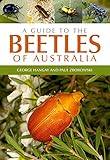 A Guide to the Beetles of Australia