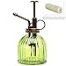 Vintage Style Green Transparent Ribbed Glass Water Spray Bottle/Decorative Plant Mister with Top Pump