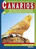El Gran Libro De Los Canarios (Spanish Edition) by Equipo Susaeta