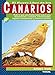 El Gran Libro De Los Canarios (Spanish Edition) by Equipo Susaeta