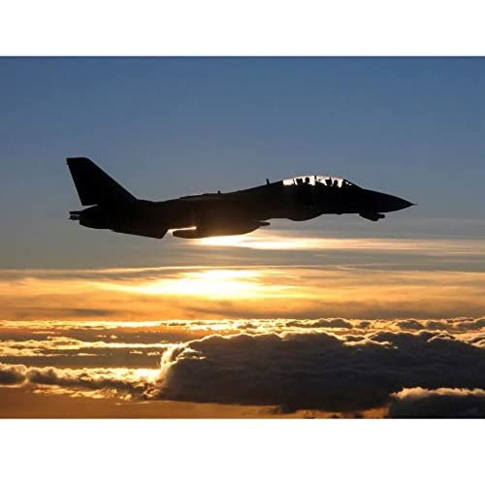 Artery8 US Navy F14D Tomcat Fighter Jet Silhouette Unframed Wall Art Print Poster Home Decor Premium
