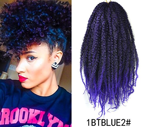 Marley Afro Braid Ombre Hair Extensions Kinky Curly Bulk Import It