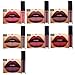 Coosa Liquid Lipstick Makeup Set Non-Stick Cup Lip Gloss Velvet Matte Waterproof Cosmetic Long Lasting Lipsticks (10 PCS)