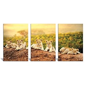Canvas Wall Art Wild View Animals Beasts Painting Artwork for Home Prints Framed - 16"x24" x 3 Panels