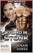 Magic, New Mexico: Etched In Stone (Kindle Worlds Novella)
