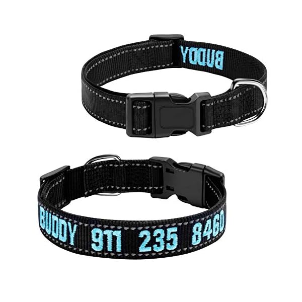 embroidered pet collars